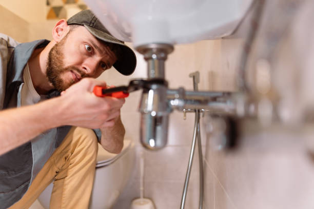 Best Clogged Drain Plumber  in Berkley, CO