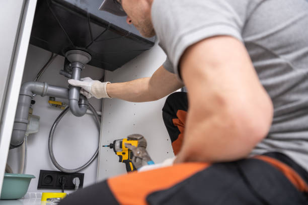 Best Local Plumber Services  in Berkley, CO